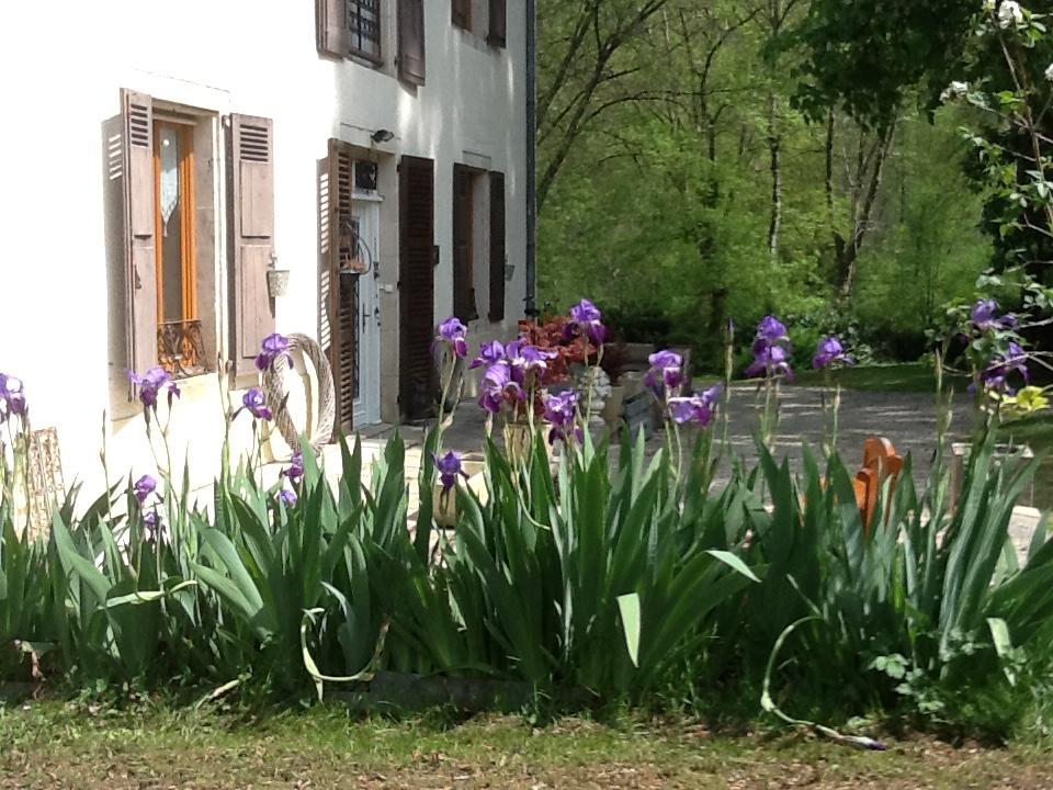 Bed and Breakfast Domaine La Rose Caylus Exterior foto